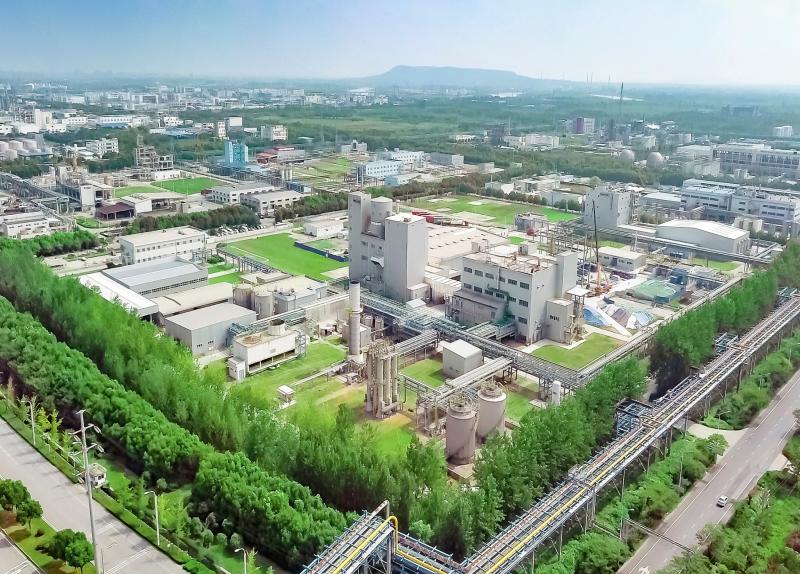 VAE and VAE Dispersible Polymer Powders